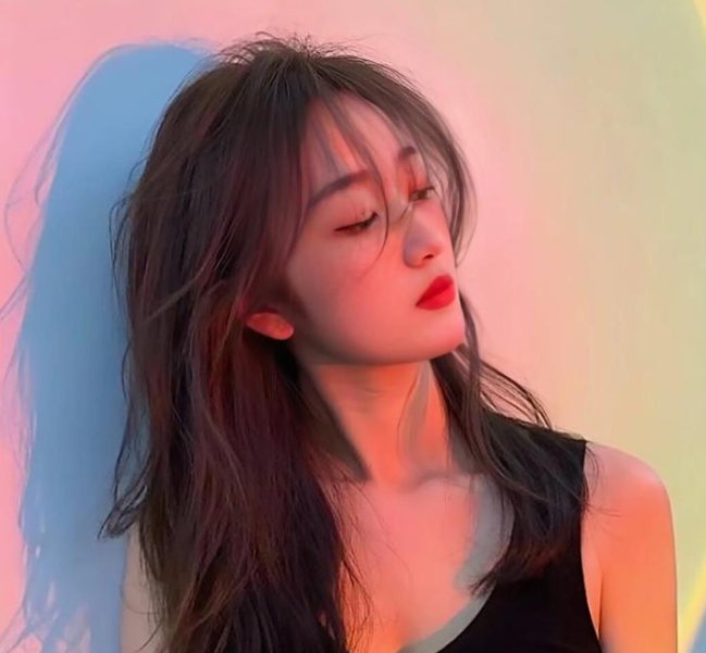 2004年香港电影金紫荆奖